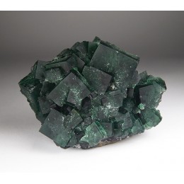 Fluorite Diana Maria Mine - Rogerley M04920